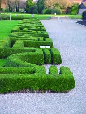 Roman Garden reconstructed from the original planting in the Roman Villa in Fishbourne, Sussex (Photo courtesy of the Fishbourne Roman Palace and the Sussex Archaeological Society)