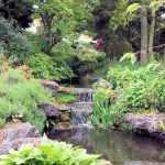 Japanese style rock & water gardens 3