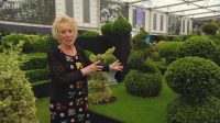 Carol Klien on the BBC's live coverage described the Topiary Arts display as having "Pure drama & absolute impact"