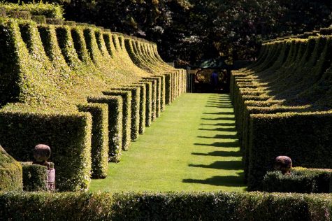 Man D'Eyrignac 1 by Roger Last