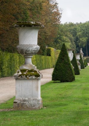 Picture by Andrew Lyndon-Skeggs