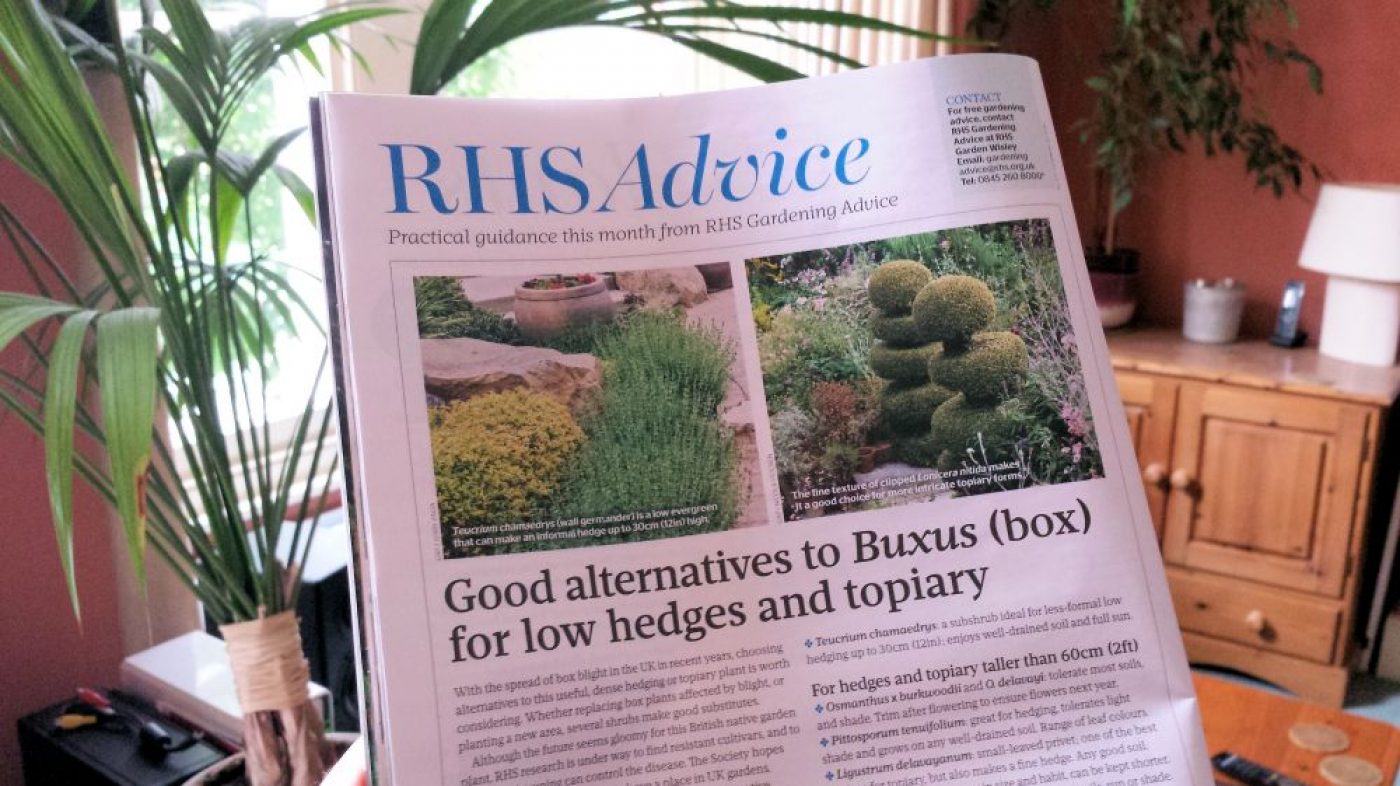 2015-07 RHS - The Garden magazine article on Buxus alternatives