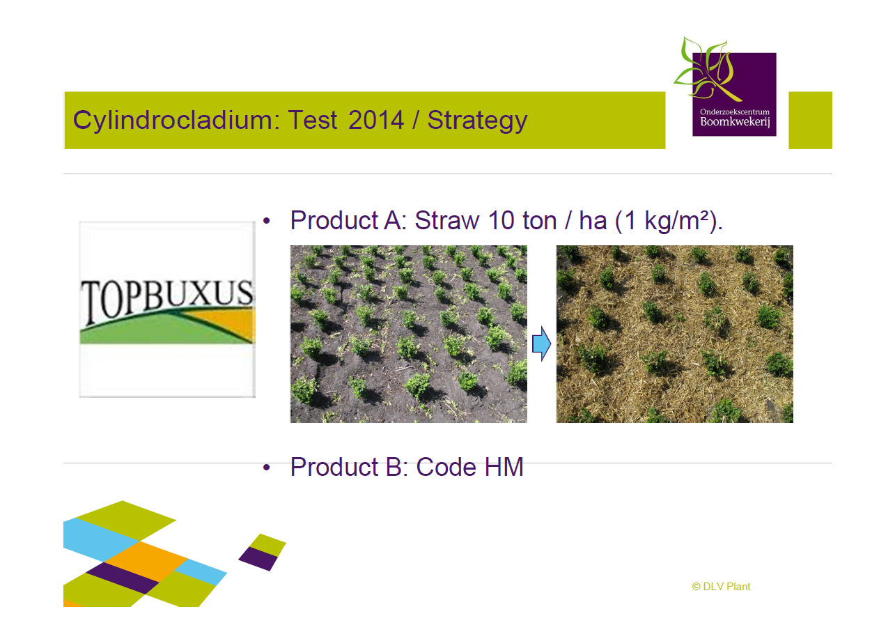 2014 Topbuxus DLV Results 2
