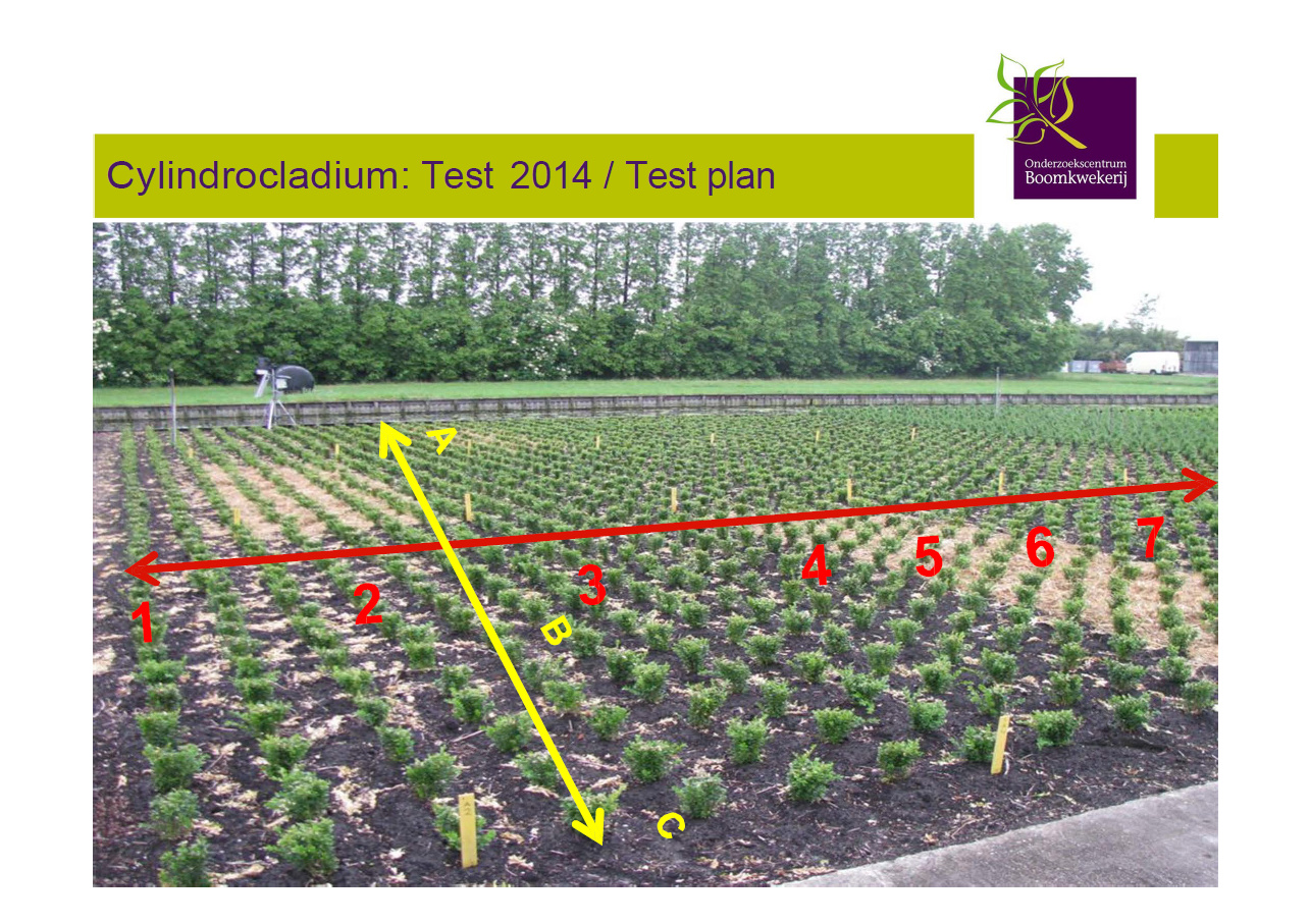 2014 Topbuxus DLV Results 3