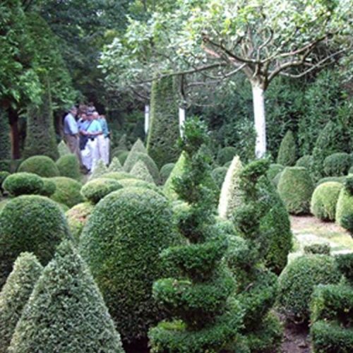 Jardin de Serincourt - Garden in Pas de Calais