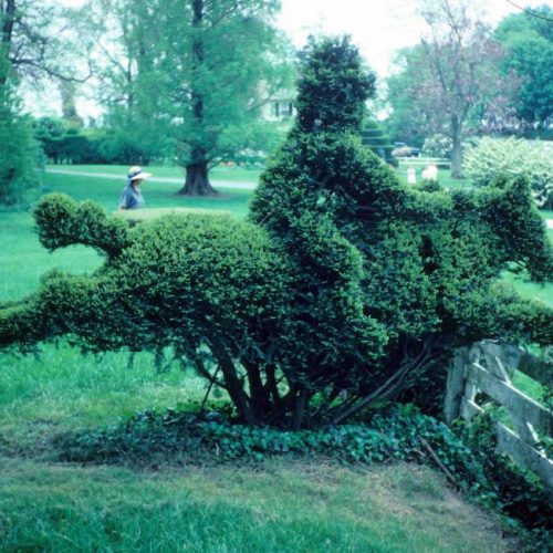 Ladew An outstanding topiary garden rare in the US is located near Baltimore Maryland - 6