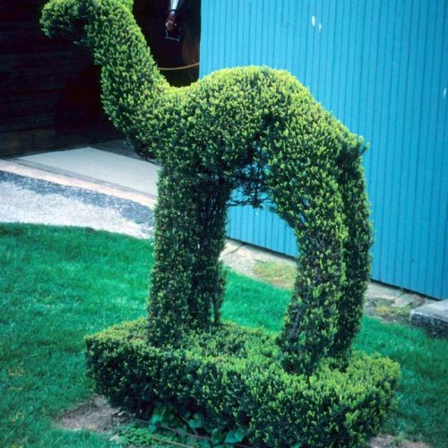 Ladew An outstanding topiary garden rare in the US is located near Baltimore Maryland - 7