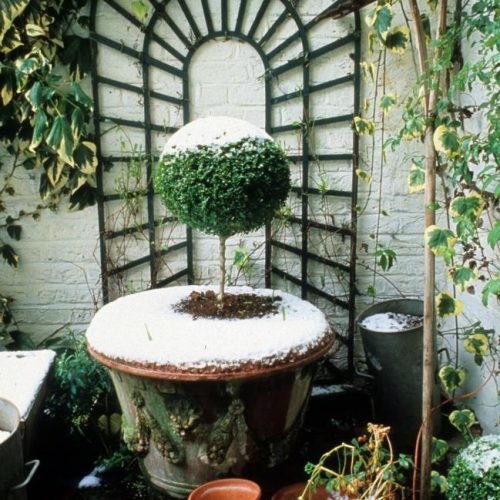 Noel - London garden designer noted for small gardens - 2a