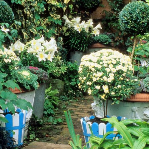 Noel - London garden designer noted for small gardens - 3
