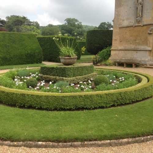 Sudeley Castle - Gloucestershire UK - June 2014 - Unusual two-colour Boxwood (Buxus sempervirens and Buxus sempervirens Elegantissima) circular hedging