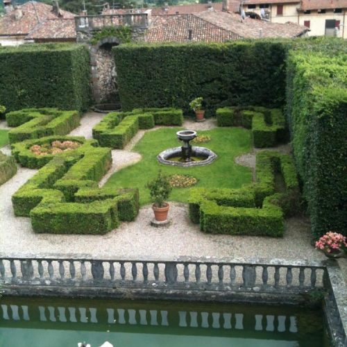 Villa Cicogna - Bisuschio - Italy - May 2014 - Boxwood (Buxus sempervirens) parterre in the course of restoration