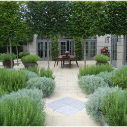 The secluded dinning terrace.