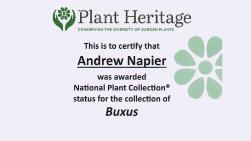 2020-03-10 National Plant Collection Buxus Certificate HL