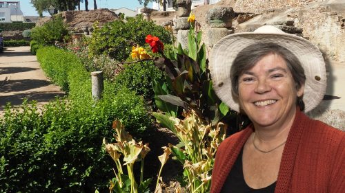 How the Romans shaped our Hedges HL