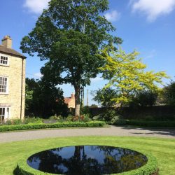 Box topiary around a reflective pool