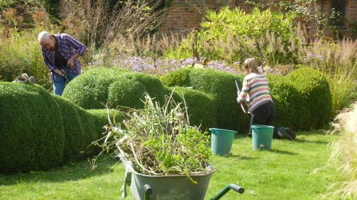 Clipping hedges HL