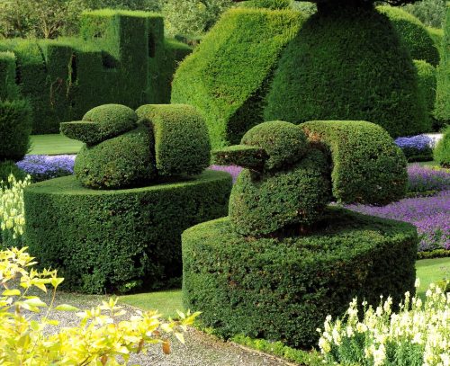 Some of the fantastic topiary at Levens Hall