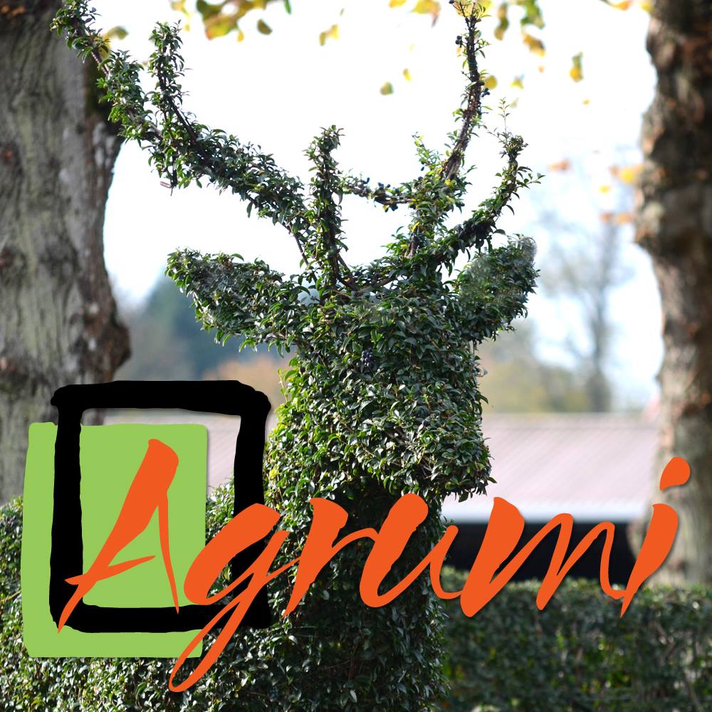 Agrumi Topiary Art - stag-with-logo