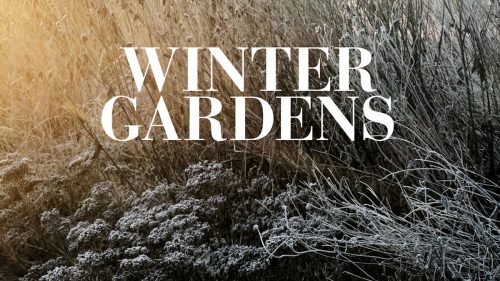 WinterGardens-BookCoverFINAL.ISBN-9781919650708 HL WinterGardens-BookCoverFINAL.ISBN-9781919650708 HL