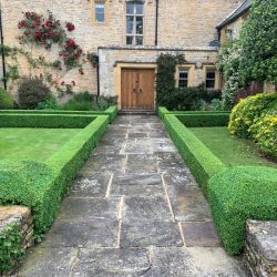 Box parterres in the Cotswolds