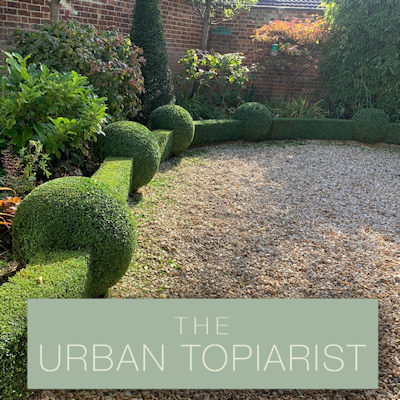 The Urban Topiarist composite image SQ