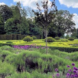 Two big beautiful gardens in Buckinghamshire - Waiting List