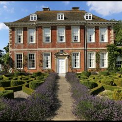 Stanhoe Hall, Norfolk, Box and Lavender Parterre garden