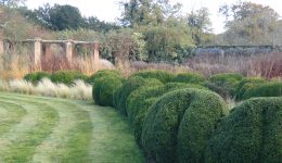 Waltham Place - Square garden