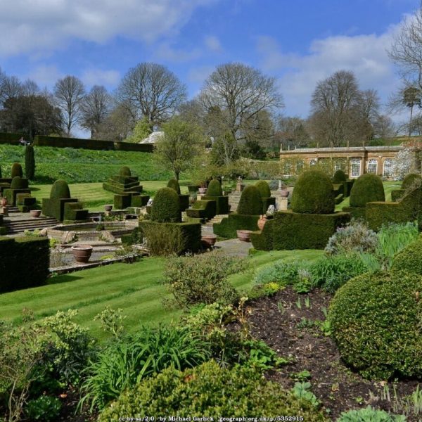 Gardens in West Dorset