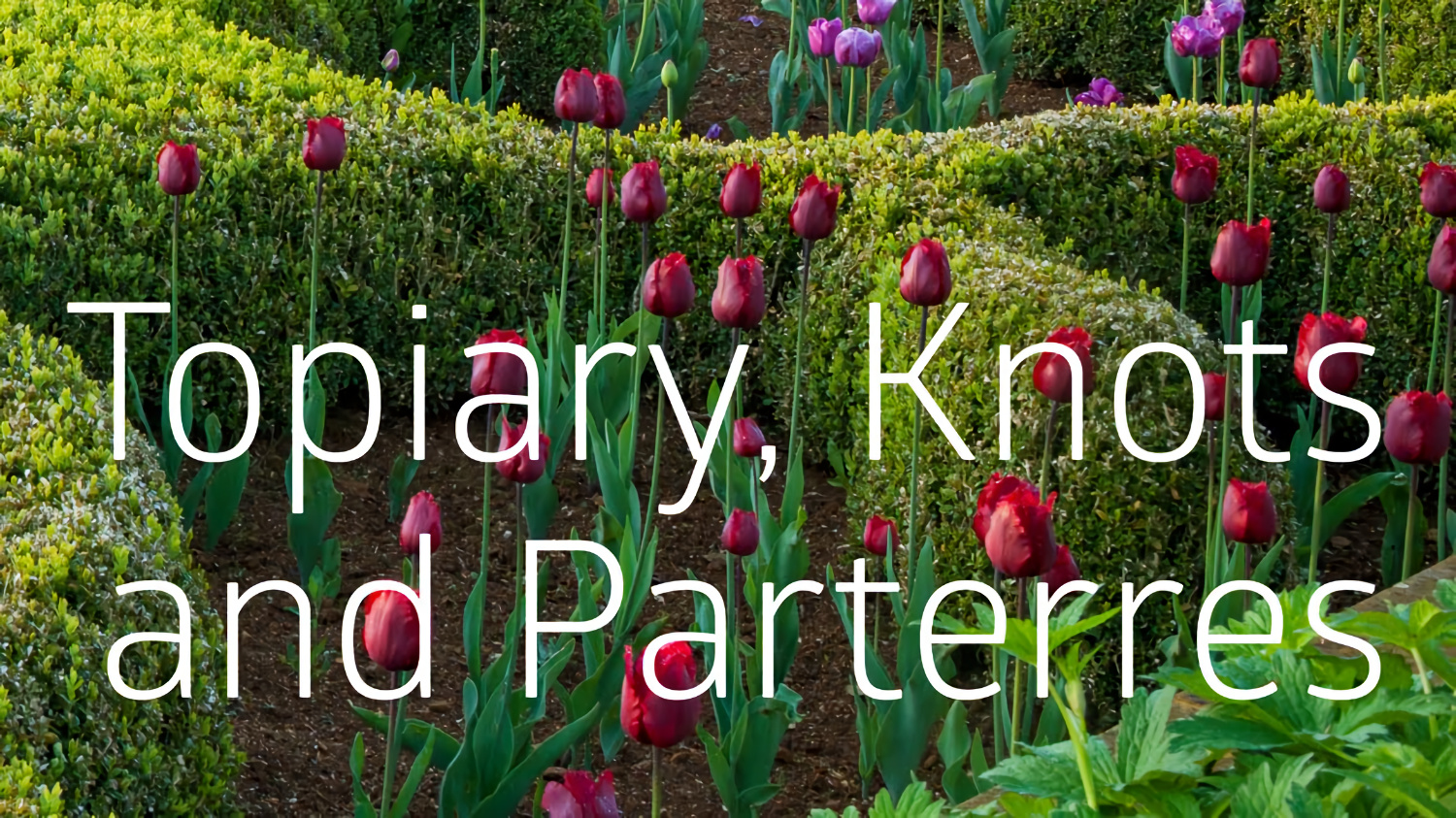 Topiary Knots and Parterres HL