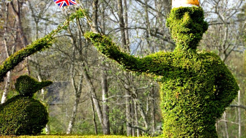 Topiary tribute to the King - David Aberdeeshire