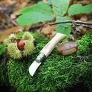 Foraging knives