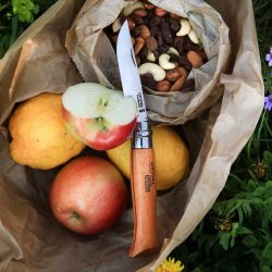 Foraging knives