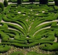 Box parterre (1).jpg