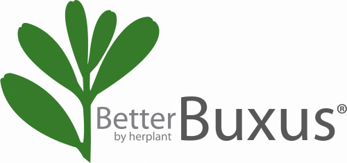 Betterbuxus-logo