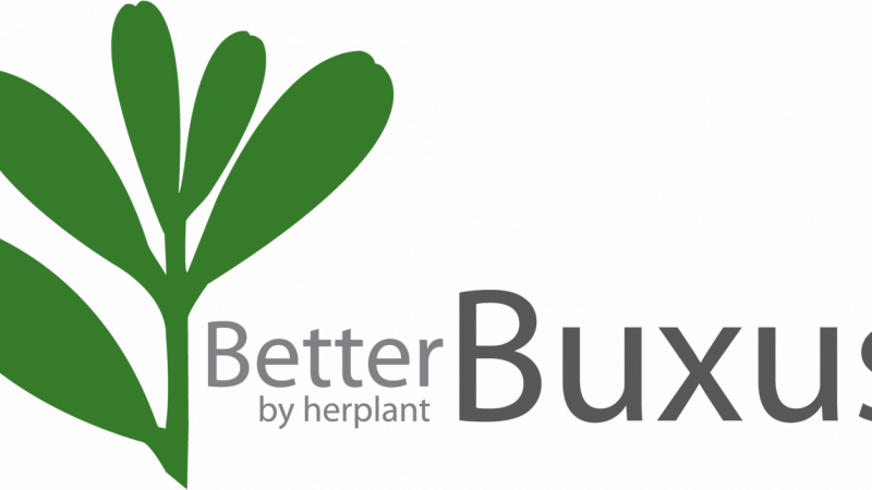 Betterbuxus-logo