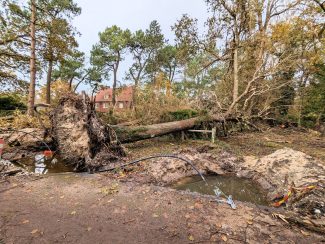 Scenes of devastation around Le Touquet
