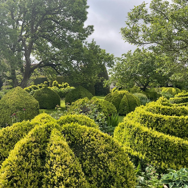 Fantastical Topiary and More in Somerset