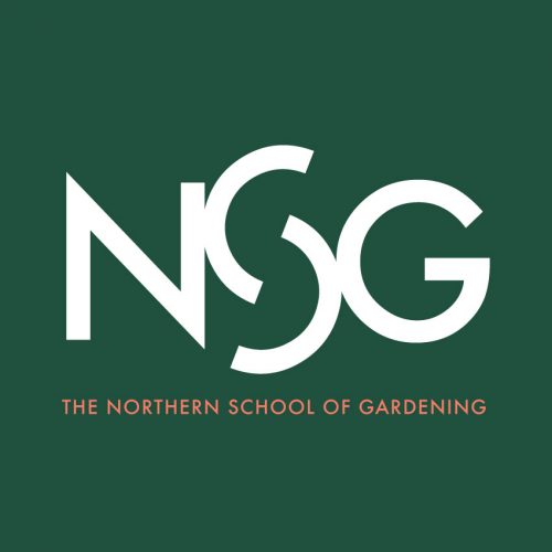NSG-Logo-Social.jpg