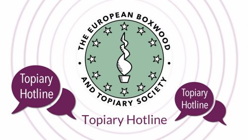 Topiary Hotline Topiary Hotline