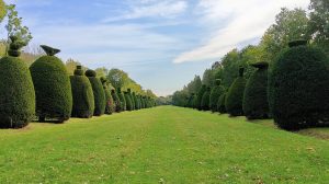 Clipsham Yew Tree Avenue HL