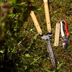 Tools At Modern Mint