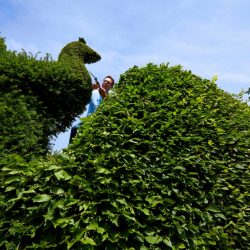 Clipping In The Garden Of Charlotte Molesworth