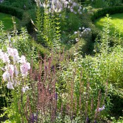 Stanhoe Hall, Norfolk, Rill Garden planting detail