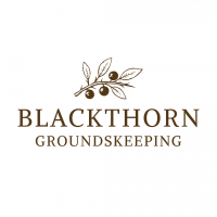 Blackthorn Social Profile Picture-02.png