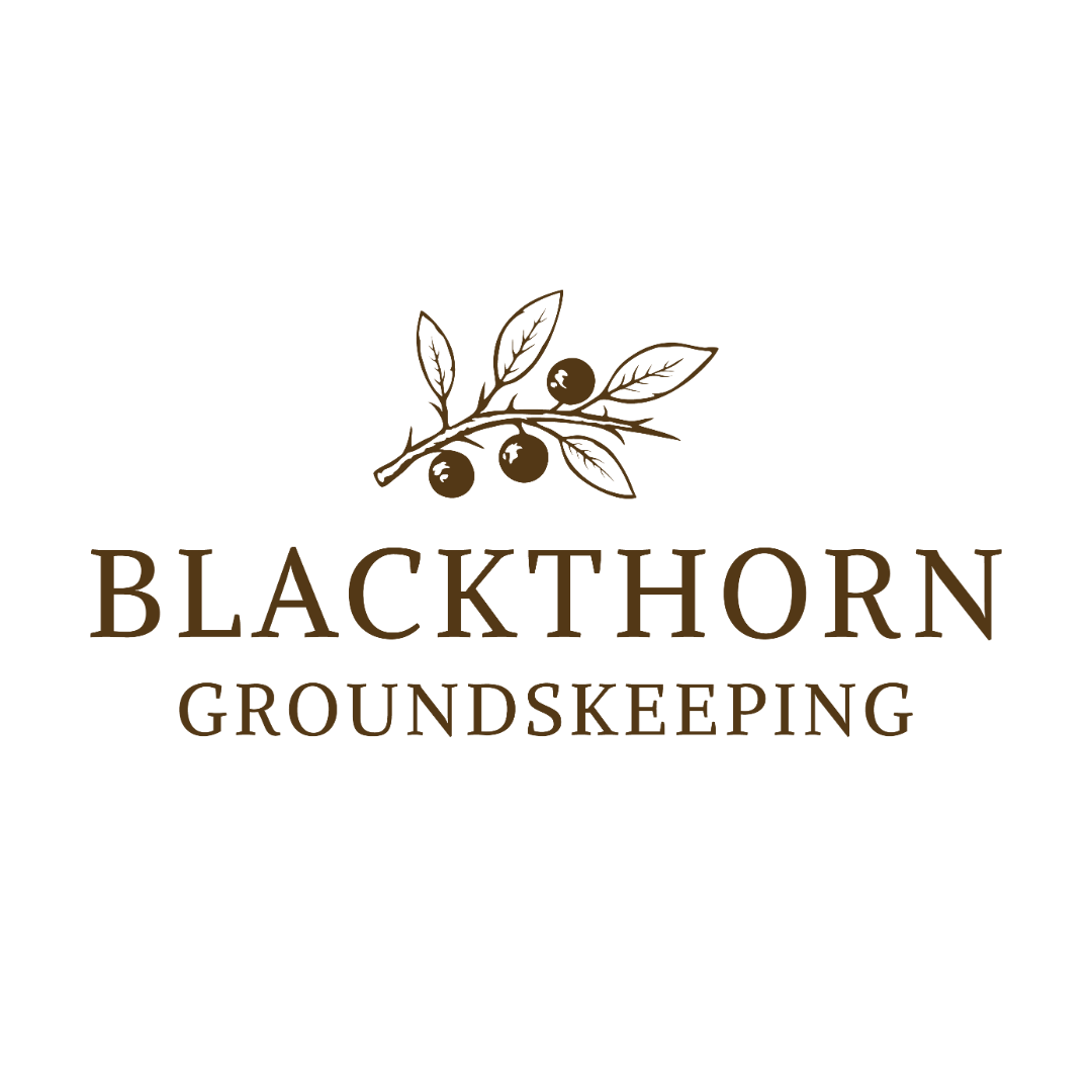 Blackthorn Social Profile Picture-02.png