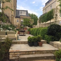 New build Bath garden, all new plants.