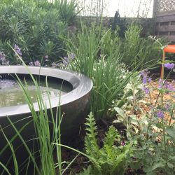 New planting plan of small Bath town garden.