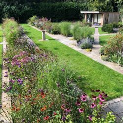 Herbaceous border planting
