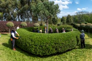 Ichicoo Park 11 April 2026-